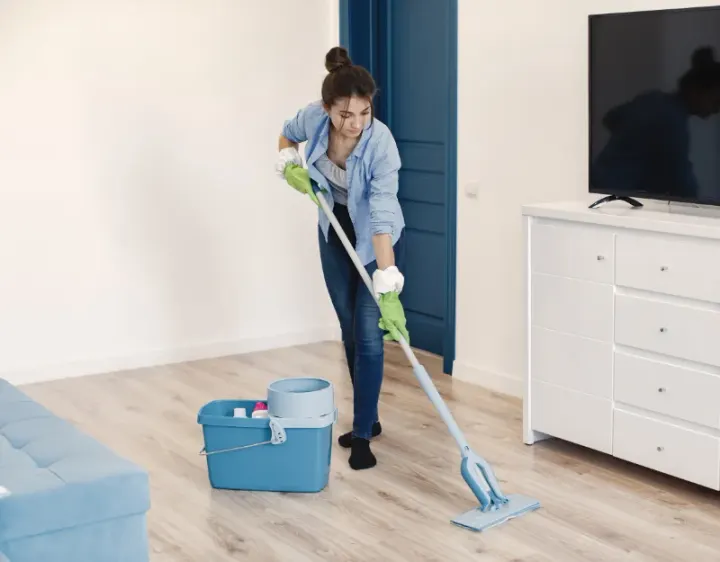 Femme de ménage La Rochette